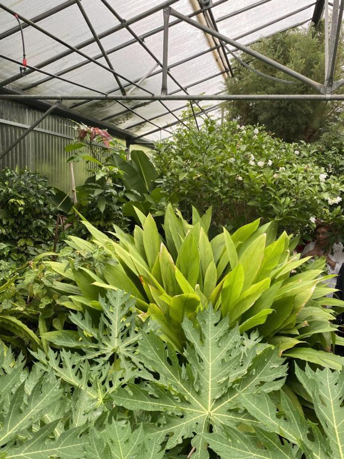 Green Hotel - Maravel Botanical Garden Spílion 外观 照片
